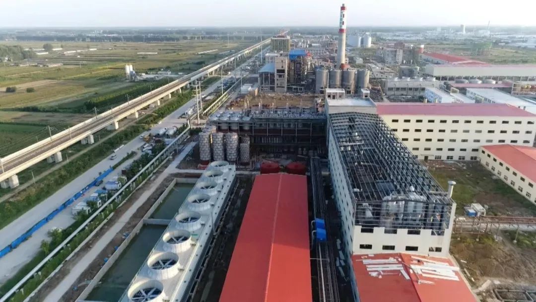 1597882905609071.jpg 732.jpg