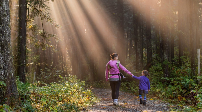 1637654421725534.png image.png