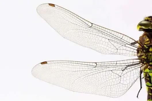 1650616254440182.jpg 7106d10e7d7236d3eebd3e479bb73107.jpg