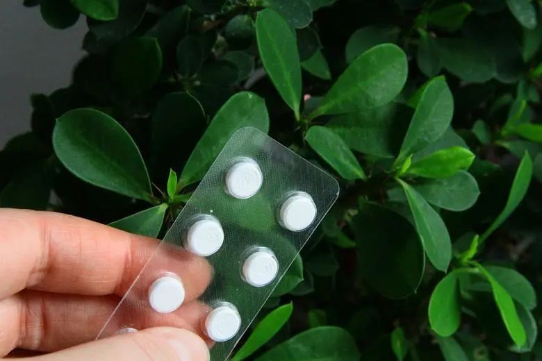 1660631211438454.jpg 082c259ef93456f4958d0d3ca5f44662.jpg