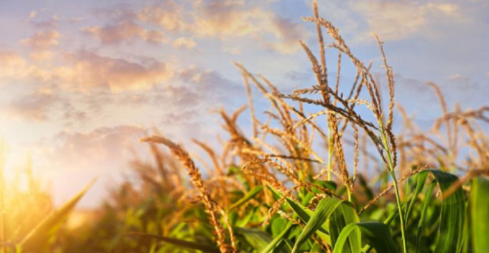 1685948315999697.png image.png