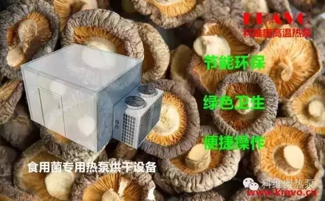 1440137300928685.jpg 熱泵干燥技術在食用菌.jpg